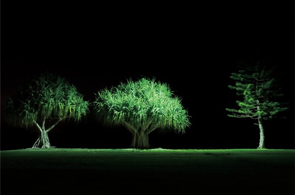 Three Trees, 2006